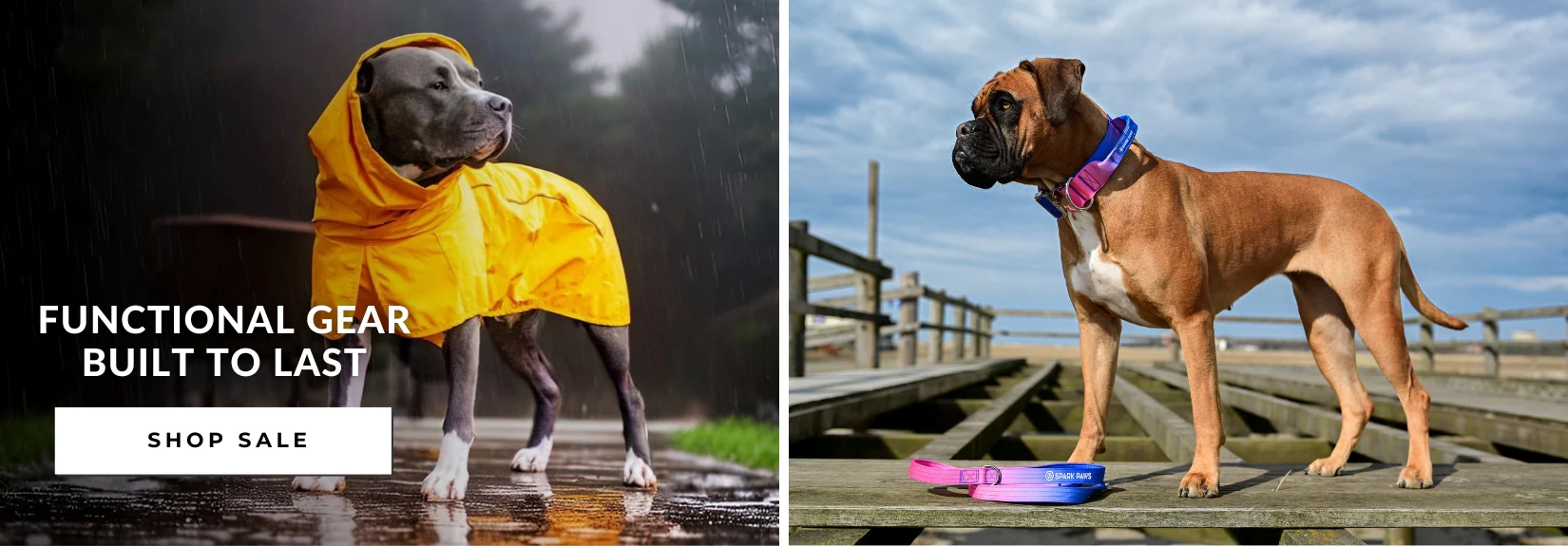 Style That Speaks Both Languages